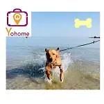 Passalacqua First Floor Between Culture And Sea Apartment Pesaro